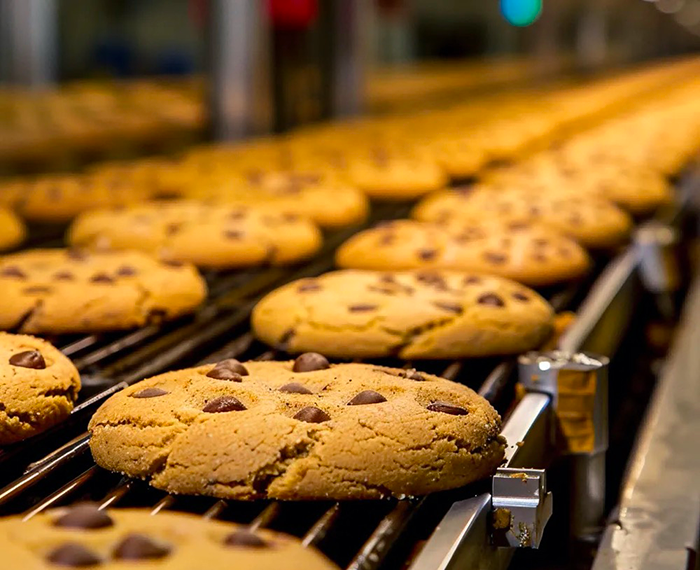 production biscuit 生产饼干