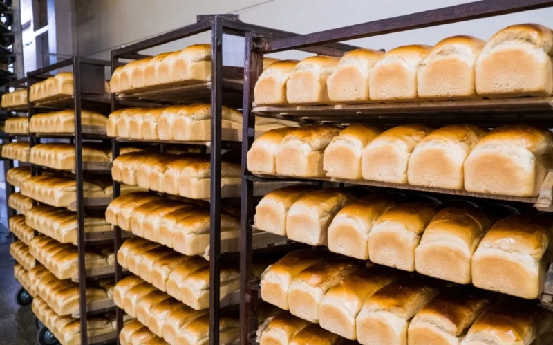 bakery machine manufacturers in hyderabad 海得拉巴的面包机制造商