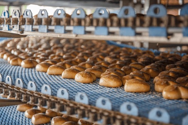 bakery moulder machine 面包房成型机