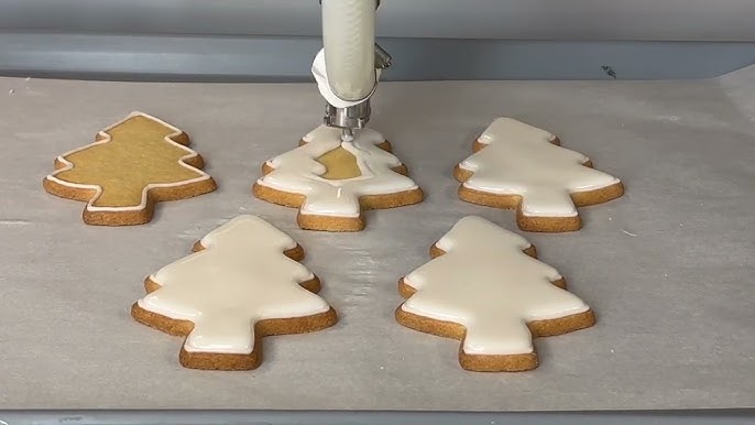 industrial cookie icing machine 工业饼干糖衣机