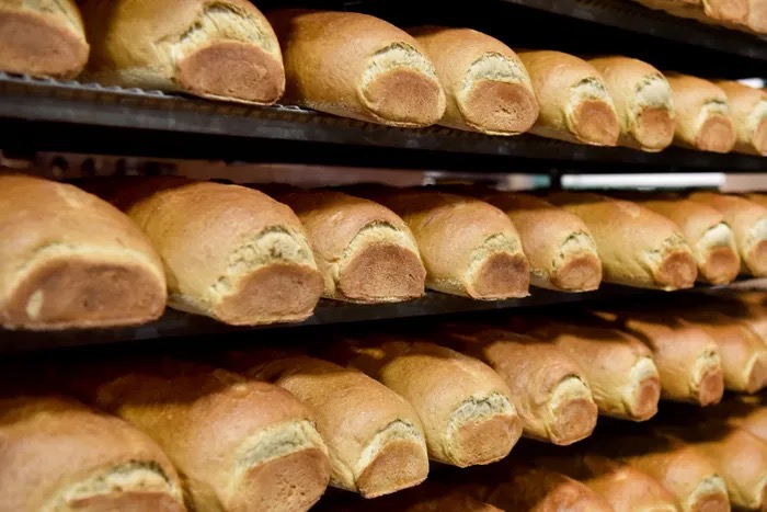 bakery equipment buy south africa 烘焙设备购买南非
