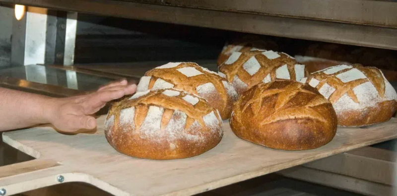 eastern bakery equipment11 东方烘焙设备11