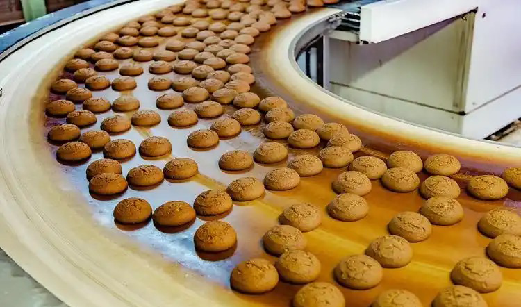 amazon biscuit machine 亚马逊饼干机