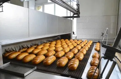 bakery equipment for sale in gauteng 豪登省待售烘焙设备