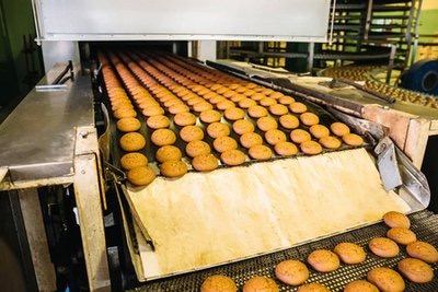 biscuit manufacturing machine 饼干制造机