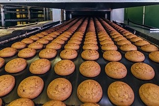 biscuit molding machine 饼干成型机