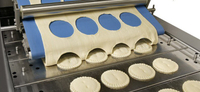 //ilrorwxhpmklpn5m-static.ldycdn.com/cloud/liBmqKqplmSRmkmpjlmijr/lang-bakery-equipment2.jpg