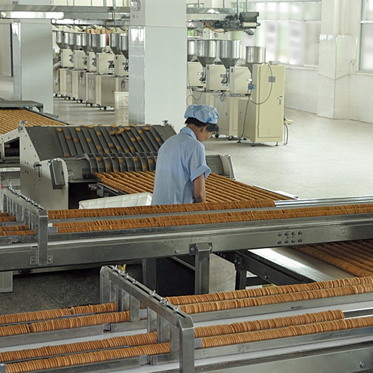 Biscuit Stacker Machine.jpg