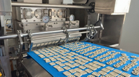 //ilrorwxhpmklpn5m-static.ldycdn.com/cloud/ppBpqKqplmSRqlrjmprpjm/Pretzel-Biscuit-Production-Line.jpg
